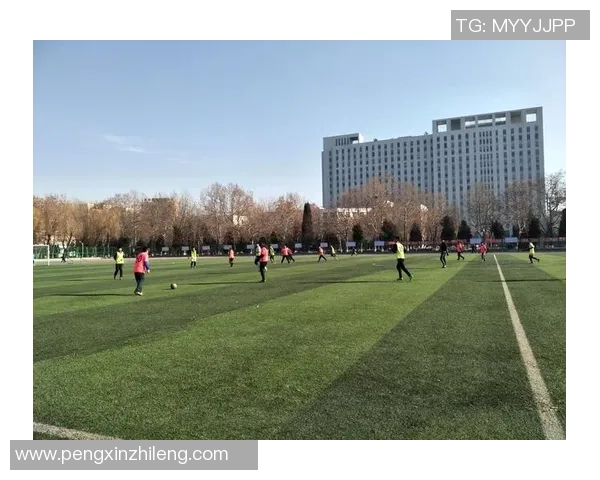 足球秦皇岛热潮来袭球迷齐聚共庆城市足球文化盛宴